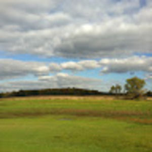 Meet your Posher, Scali